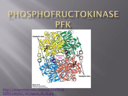 ll2011/stryer7/16/figure_16_16.jpg.