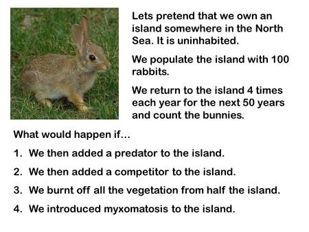 Lets pretend that we own an island somewhere in the North Sea. It is uninhabited. We populate the island with 100 rabbits. We return to the island 4 times.