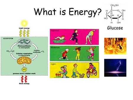 What is Energy? Glucose.