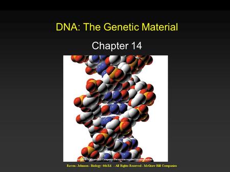 Raven - Johnson - Biology: 6th Ed. - All Rights Reserved - McGraw Hill Companies DNA: The Genetic Material Chapter 14 Copyright © McGraw-Hill Companies.