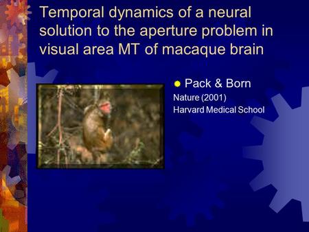 Temporal dynamics of a neural solution to the aperture problem in visual area MT of macaque brain  Pack & Born Nature (2001) Harvard Medical School.