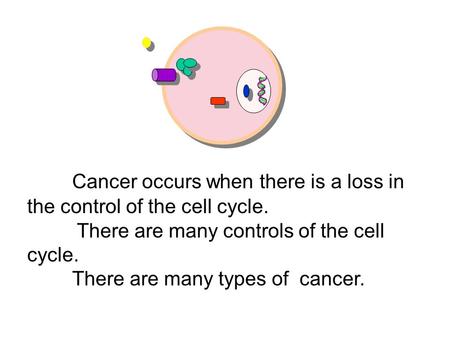 Cancer occurs when there is a loss in the control of the cell cycle. There are many controls of the cell cycle. There are many types of cancer.