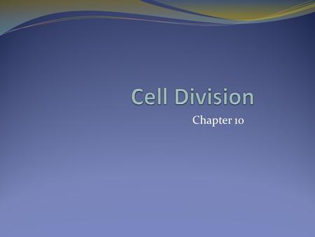 Cell Division Chapter 10.