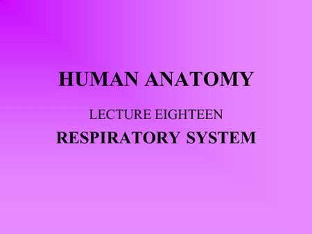 LECTURE EIGHTEEN RESPIRATORY SYSTEM