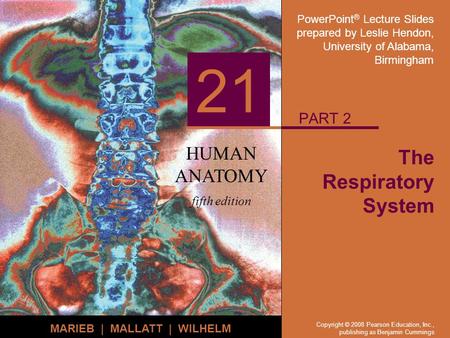 PowerPoint ® Lecture Slides prepared by Leslie Hendon, University of Alabama, Birmingham HUMAN ANATOMY fifth edition MARIEB | MALLATT | WILHELM 21 Copyright.