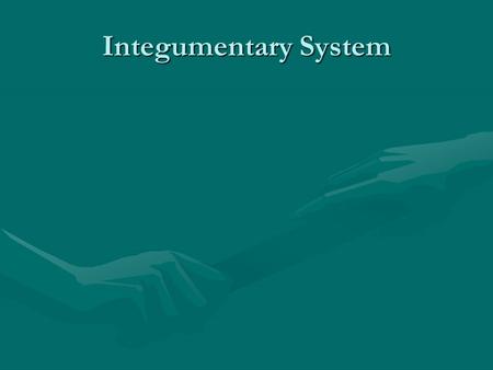 Integumentary System. Integumentary system A barrier against infection and injury, helps regulate body temperature, removes wastes, provides protection.