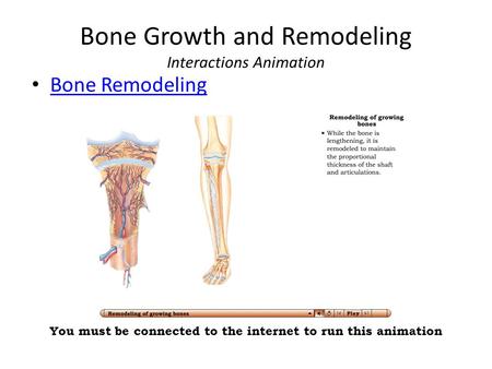 Bone Growth and Remodeling Interactions Animation