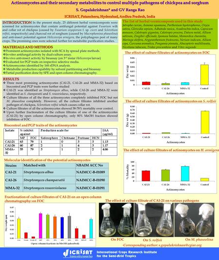 Actinomycetes and their secondary metabolites to control multiple pathogens of chickpea and sorghum S. Gopalakrishnan* and GV Ranga Rao S. Gopalakrishnan*