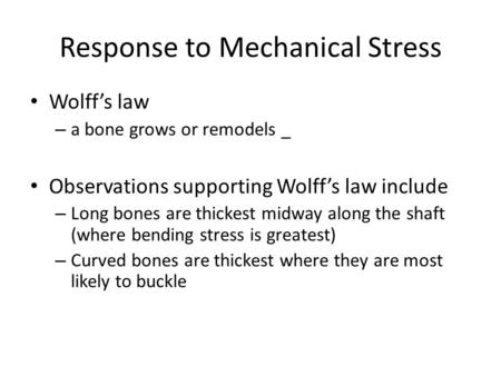 Response to Mechanical Stress Wolff’s law – a bone grows or remodels _ Observations supporting Wolff’s law include – Long bones are thickest midway along.