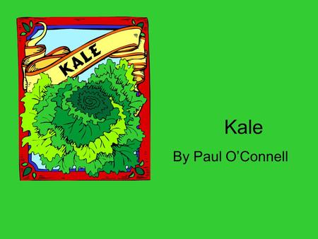 Kale By Paul O’Connell. What is Kale??? Leafy green vegetable In same family with cauliflower and cabbage In season from middle of winter to beginning.