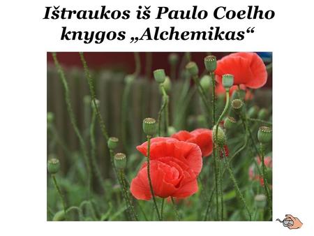 The-Island Ištraukos iš Paulo Coelho knygos „Alchemikas“