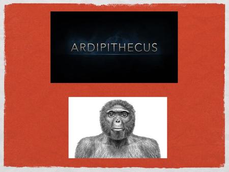 Ardi Ardi’s skeleton was found in the Afar Desert in Ethiopia. It had been buried underneath two layers of volcanic ashes, and had been compressed and.