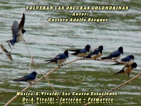 Volverán las oscuras golondrinas, poema de Gustavo Adolfo Bécquer