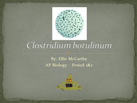 By: Ellie McCarthy AP Biology – Period 1&2. Domain: Bacteria Kingdom: Bacteria Division: Firmicutes Class: Clostridia Order: Clostridiales Family: Clostridiaceae.