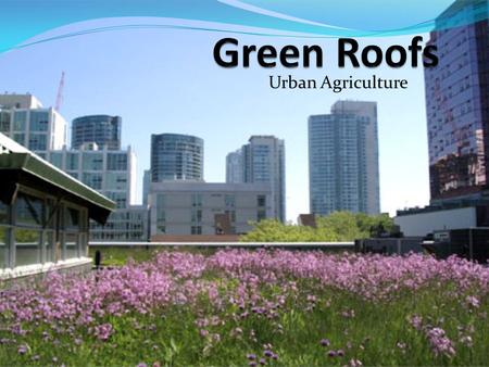 Urban Agriculture. What is a Green Roof Green roofs supplement traditional vegetation without disrupting urban infrastructure -- they take a neglected.