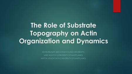 The Role of Substrate Topography on Actin Organization and Dynamics KEVIN BELNAP (BRIGHAM YOUNG UNIVERSITY) MIKE AZATOV (UNIVERSITY OF MARYLAND) ARPITA.