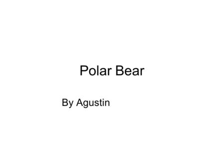 Polar Bear By Agustin. The polar bear is one of eight bear species. Its Latin name is Ursus maritimus, which means “sea bear”.