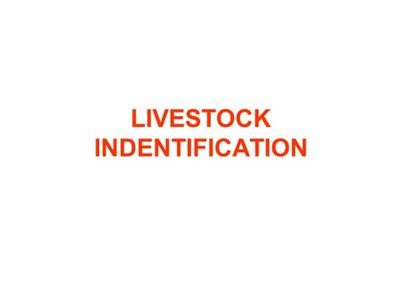 LIVESTOCK INDENTIFICATION. REASONS TO BRAND Keeping records Performance testing—Purebred herds Culling purposes.