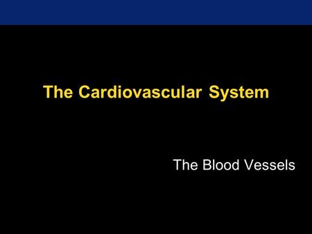 The Cardiovascular System The Blood Vessels. Blood Vessel Review Arteries carry blood away from the heart Pulmonary trunk to lungs Aorta to everything.