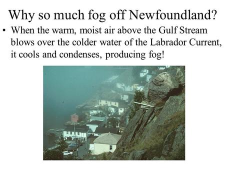 Why so much fog off Newfoundland? When the warm, moist air above the Gulf Stream blows over the colder water of the Labrador Current, it cools and condenses,