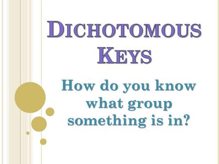 How do you know what group something is in?. A DICHOTOMOUS KEY IS A WRITTEN SET OF CHOICES, USED BY SCIENTISTS, THAT LEADS TO THE NAME OF AN UNKNOWN ORGANISM.