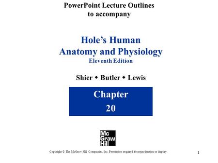 1 PowerPoint Lecture Outlines to accompany Hole’s Human Anatomy and Physiology Eleventh Edition Shier  Butler  Lewis Chapter 20 Copyright © The McGraw-Hill.