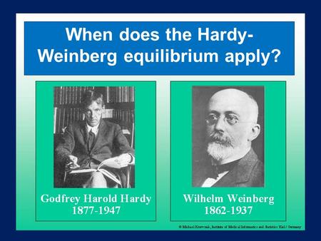 When does the Hardy- Weinberg equilibrium apply?.