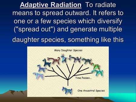 Adaptive Radiation To radiate means to spread outward. It refers to one or a few species which diversify (spread out) and generate multiple daughter.