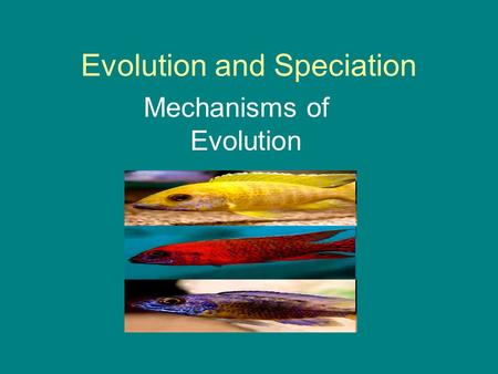 Evolution and Speciation