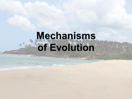 Mechanisms of Evolution. There are several: 1.Natural Selection 2.Gene Flow 3.Genetic drift 4.Mutations 5.Non-random mating There are several: 1.Natural.