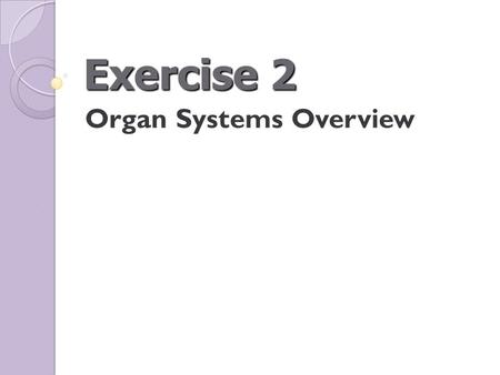 Organ Systems Overview