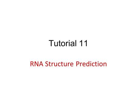 RNA Structure Prediction