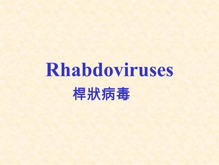 Rhabdoviruses 桿狀病毒. I. Classification Genus –Lyssavirus ： rabies virus ( 狂犬病毒屬 ) Three rabies-like viruses.