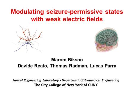 Modulating seizure-permissive states with weak electric fields Marom Bikson Davide Reato, Thomas Radman, Lucas Parra Neural Engineering Laboratory - Department.