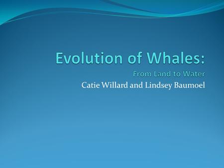 Catie Willard and Lindsey Baumoel. Question??? How have whales physiologically evolved from land to water? Whale Video.