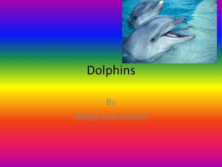 Dolphins By Navya and Hunter. Table of Contents How dolphins hunt and learn how to hunt Calves Where dolphins sleep How dolphins see More about dolphins.