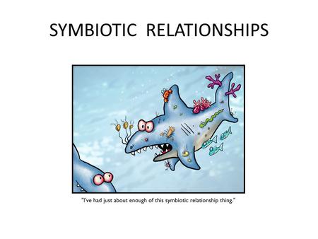 SYMBIOTIC RELATIONSHIPS