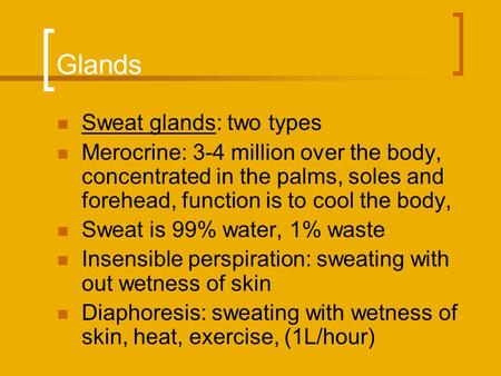 Glands Sweat glands: two types Merocrine: 3-4 million over the body, concentrated in the palms, soles and forehead, function is to cool the body, Sweat.