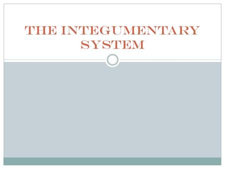 The Integumentary System