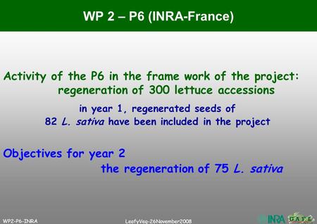 WP2-P6-INRA LeafyVeg-26November2008 Activity of the P6 in the frame work of the project: regeneration of 300 lettuce accessions WP 2 – P6 (INRA-France)