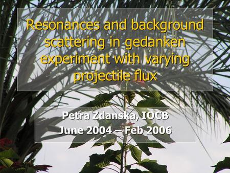 Petra Zdanska, IOCB June 2004 – Feb 2006 Resonances and background scattering in gedanken experiment with varying projectile flux.