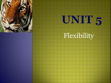 Flexibility. 1. Recall the different types of stretches 2. Understand and locate the different types of joints 3. Understand the importance and benefits.