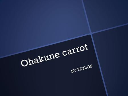 Ohakune carrot BY TAYLOR. Where is the Carrot in Ohakune The Carrot in Ohankune is in the main town.