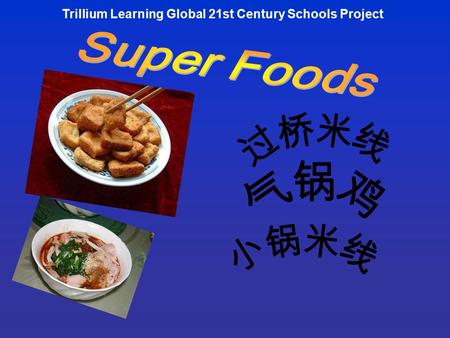 Trillium Learning Global 21st Century Schools Project.