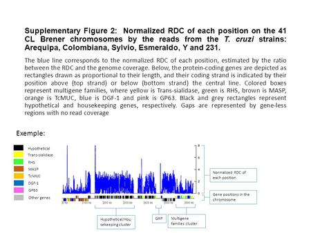 Hypothetical Trans-sialidase RHS MASP TcMUC DGF-1 GP63 Other genes Supplementary Figure 2: Normalized RDC of each position on the 41 CL Brener chromosomes.