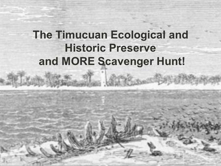 The Timucuan Ecological and Historic Preserve and MORE Scavenger Hunt!