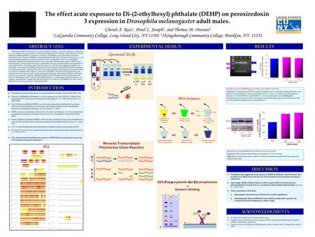 INTRODUCTION RESULTSEXPERIMENTAL DESIGN DISCUSSION ACKNOWLEDGMENTS Preliminary data suggest that acute exposure to DEHP (0.5mM and 1.0mM, 48 hours) does.