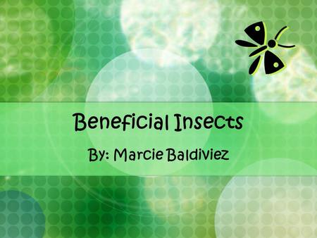 Beneficial Insects By: Marcie Baldiviez Are all insects pests?  Not all insects are pests, in fact, many insects can be very beneficial to all of us!