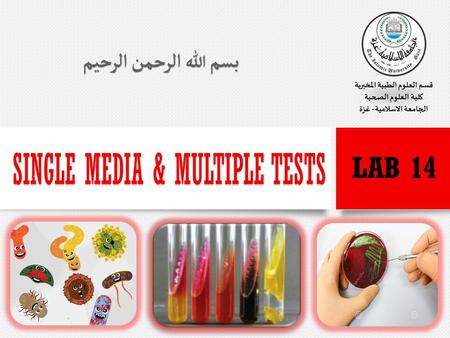 Single Media & Multiple Tests