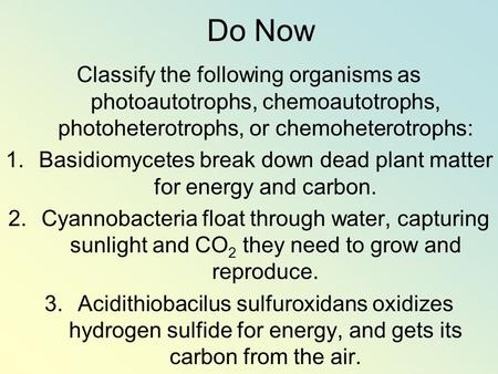 Basidiomycetes break down dead plant matter for energy and carbon.